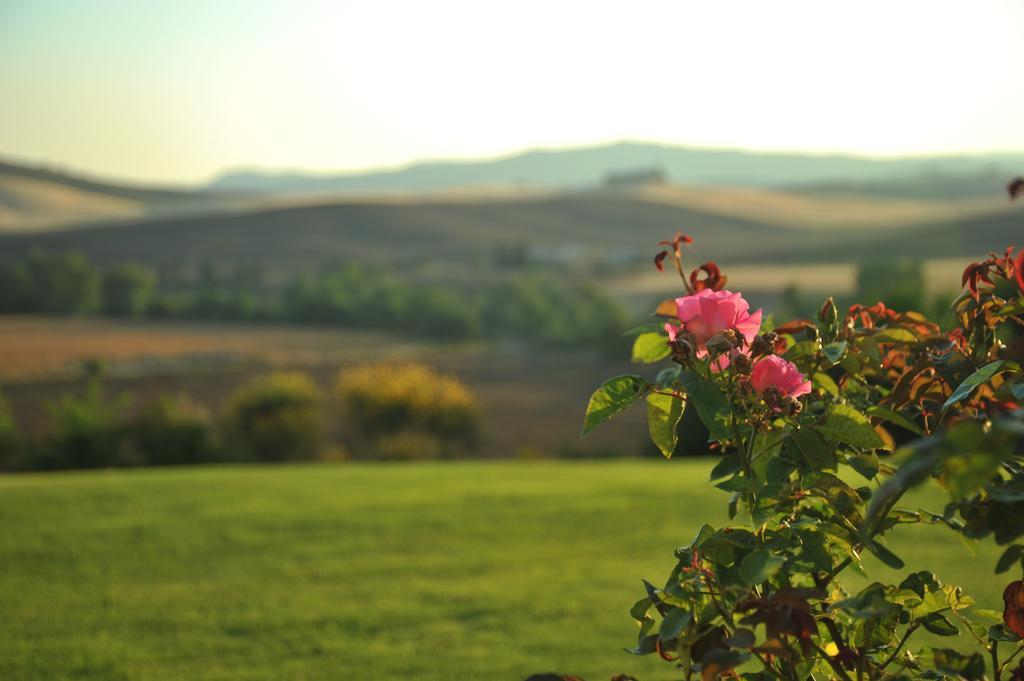 Bed and Breakfast L'Olmo Monticchiello Exterior foto
