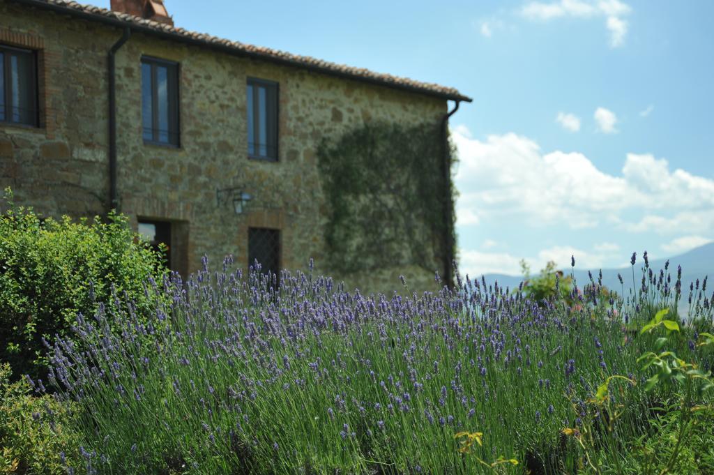 Bed and Breakfast L'Olmo Monticchiello Exterior foto